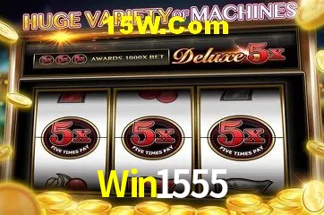 Sistemas de Segurança Win1555